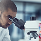 Scientists Study Brains Of Baseball Fans To Find Out How They Stay Interested During First 7 Innings
